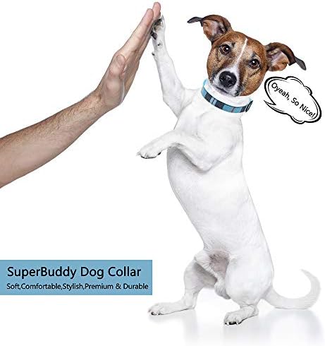 Superbuddy Premium Ekose köpek tasması, Hızlı Serbest Bırakma Tokalı Ayarlanabilir köpek tasmaları, Büyük Köpekler