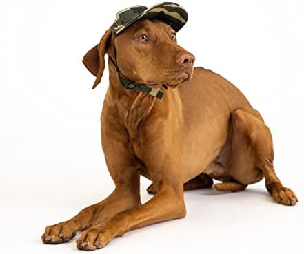 Köpekler için PupLid Beyzbol Şapkaları-Modern Köpek için Birinci Sınıf Şık Güneş Koruması (Küçük, Bayrak)