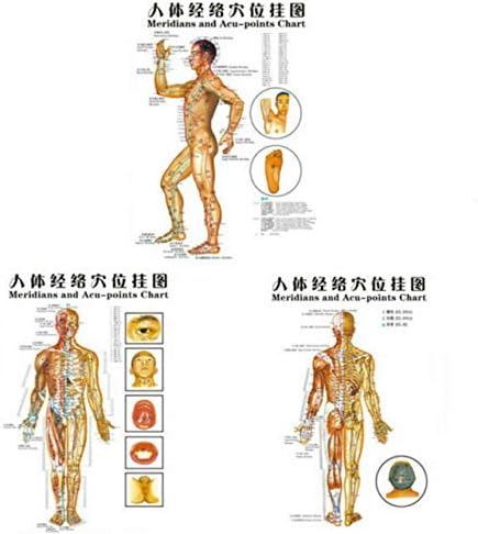 3 Poster Çizelgeleri-Akupunktur insan vücudu Çizelgeleri Meridyenleri ve Akupunktur Noktaları