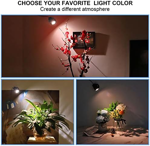 xınyesor 2 paket LED Spot ışıklar kapalı bitkiler için, 3 Renk vurgulu aydınlatma Dim Dimmer anahtarı ile Uplights