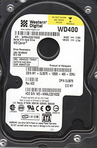 WD400JD-75HKA1, DCM HSBACTJCH, Batı Dijital 40 GB SATA 3.5 Sabit Disk