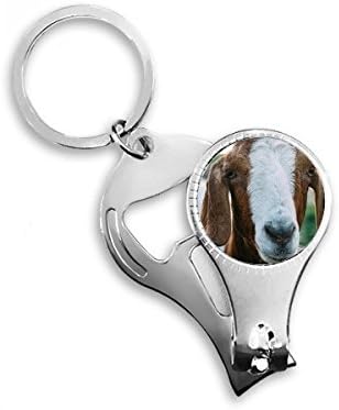 Karasal organizma koyun hayvan fotoğraf tırnak makası yüzük Anahtarlık şişe açacağı Clipper