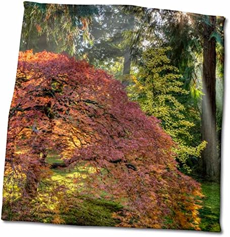 Portland, Oregon, ABD'de sonbaharda 3dRose Japon Bahçeleri-Havlular (twl-190055-3)