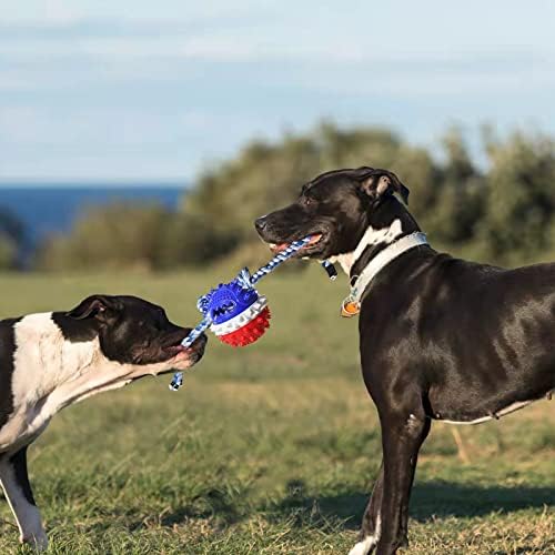 GOLDROC Köpek Gıcırtılı Top Oyuncaklar, Köpek Diş Çıkarma Çiğnemek Oyuncaklar için Küçük, Orta ve Büyük Irkları ile