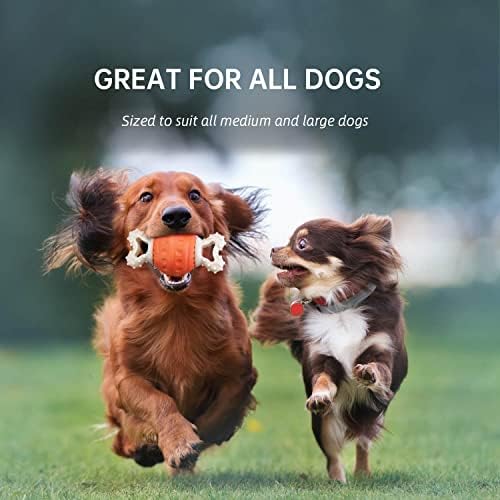 saplı ilovever Köpek Oyuncak Topu, İnteraktif Köpek Su Yüzen Oyuncak, Orta ve Büyük Cins için Köpek Diş Fırçası Diş