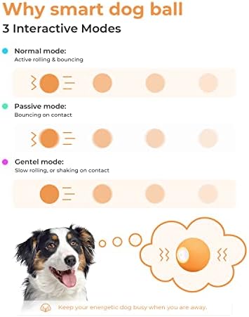 Cheerble Yükseltilmiş Akıllı İnteraktif Köpek Oyuncağı, Otomatik Hareketli Zıplayan Top, Küçük Irklar için Aktif