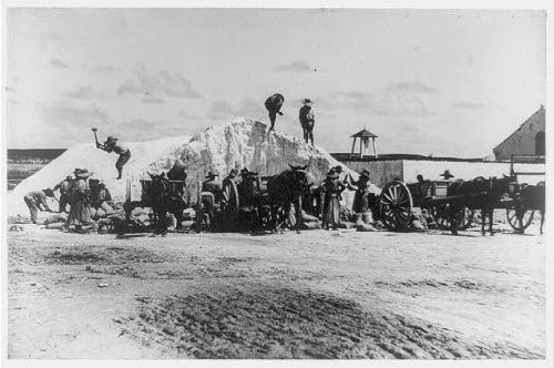 Tarihsel Bulgular Fotoğraf: Tuz Madenciliği, Turks & Caicos Adaları, Jamaika, Çalışan insanlar, 1890-1923